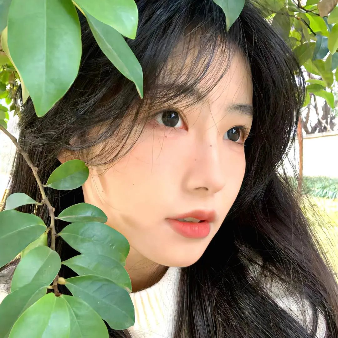 大师的头脑